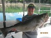 (08/16/2016) - Nice Striped Bass